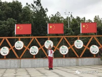 丁荷小腳丫 帶著國旗走天下，科技點燃愛國夢
